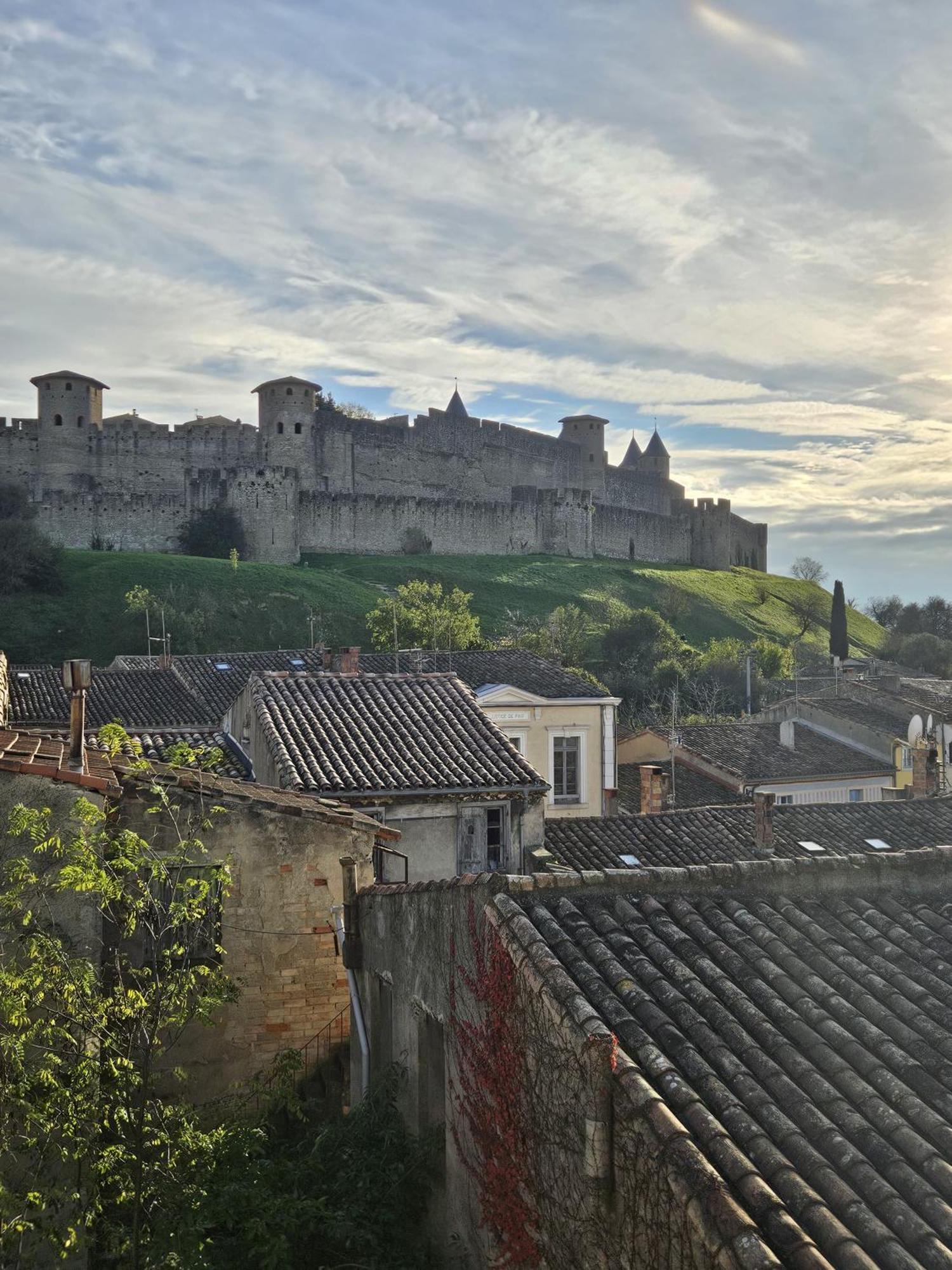 Vue Cite Medievale Castel View Carcassonne Bagian luar foto
