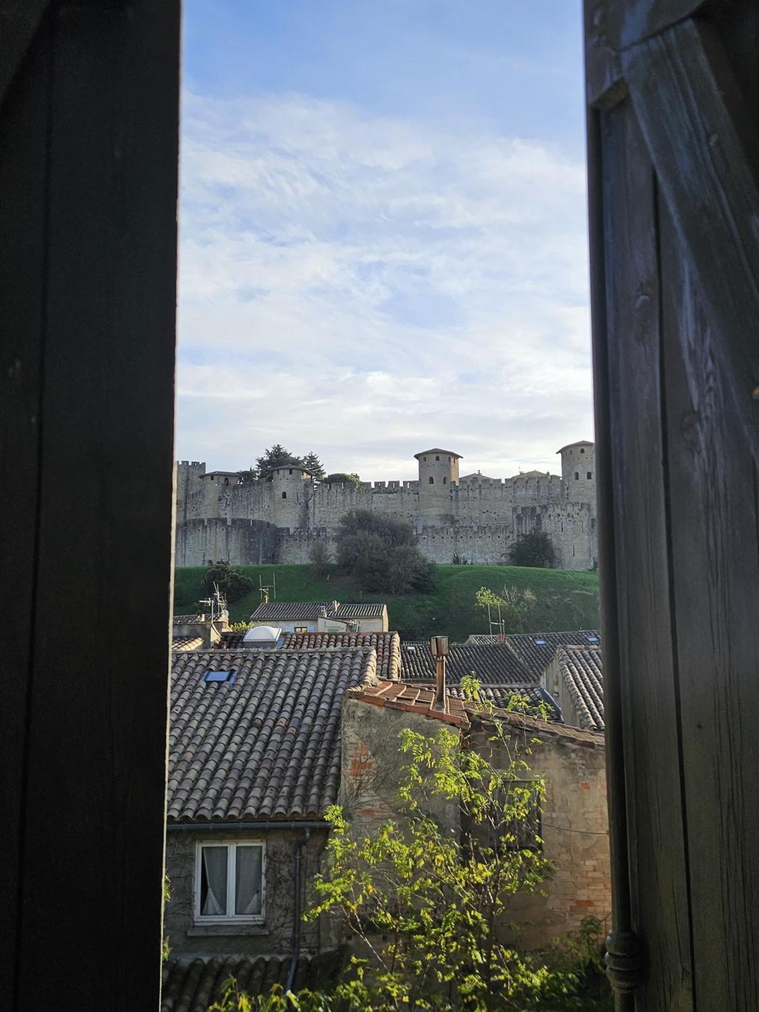 Vue Cite Medievale Castel View Carcassonne Bagian luar foto